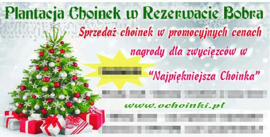 banner konkursu 'Najpiękniejsza Choinka'