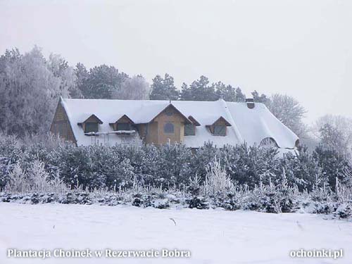 Plantacja w Rezerwacie Bobra ochoinki.pl zimą - budynki naszej plantacji ze śniegową czapą